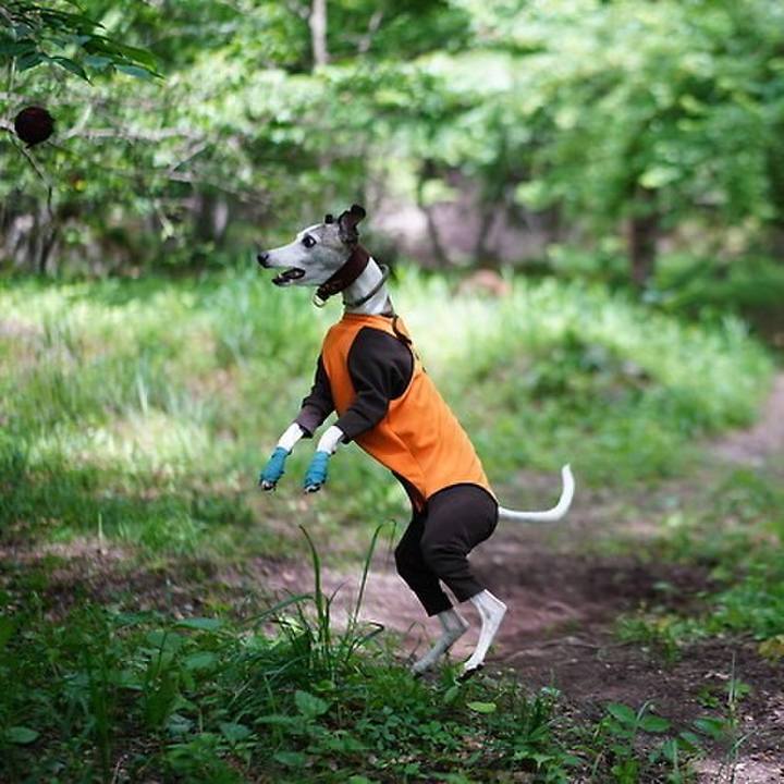 Dbb4ae51 cb10 4039 bd4c 31c1a5707171 1533121291761