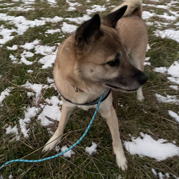 Dbb4e190 e6c9 46c4 a936 a982a77fdaba 1706187848854