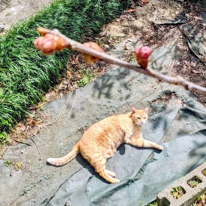 Dbb51f67 b9e5 4c1d ab9e 1b23f3fbb39f 1771903667327