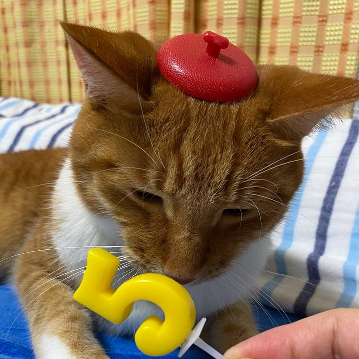 Dbb557f2 ea94 4b92 9891 356989b3422f 1641802282101