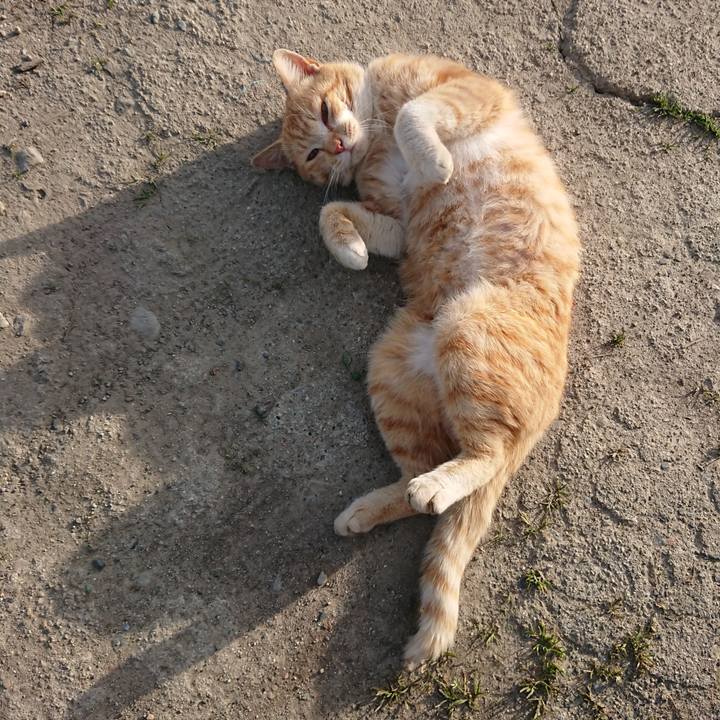 Dbb56066 e775 4132 a337 15ba1a0ecba6 1555748510911