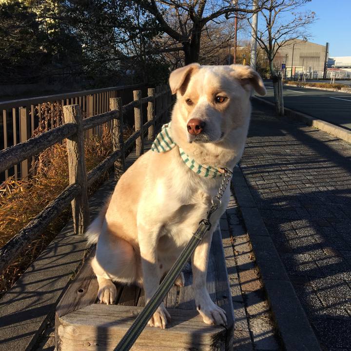 Dbb56595 9f6f 4c69 8a34 bf857ecd4d01 1514762488970