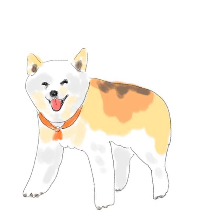 Dbb571eb 4ec9 45a7 831a f0e93556cbb0 1719408839019