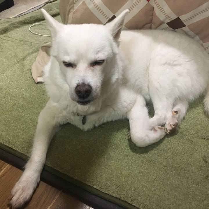 Dbb5a03a e06b 4e65 a83a 5e40be3f55de 1527855356258