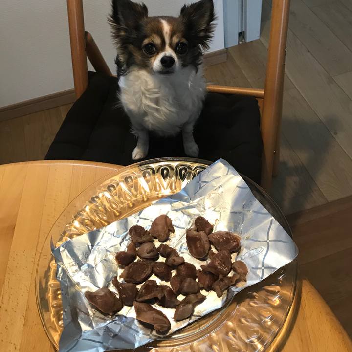 Dbb5ba6f 24a3 4f03 a468 c41af7ffc3a2 1553411982738