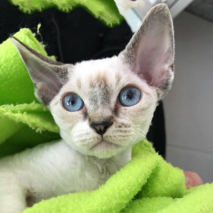 Dbb5e422 49cc 4e43 ae4a 65bf0ef709de 1582426845423