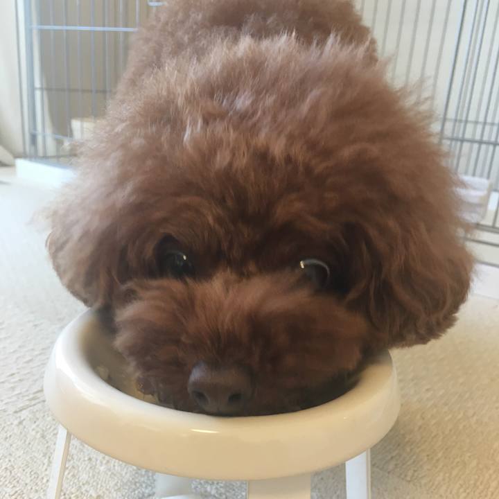 Dbb659d8 3b23 45e3 942b f62cda76343c 1531518819003