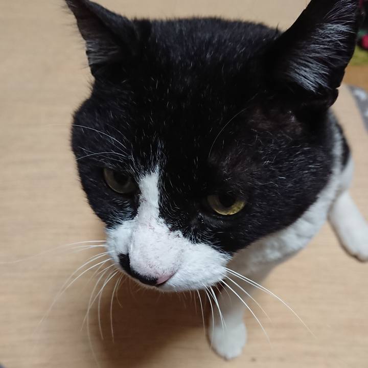 Dbb69a24 3068 4d44 89d1 b00358ced2b5 1590191519317