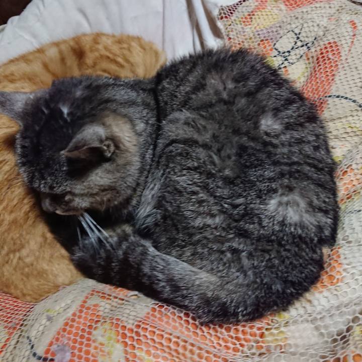 Dbb69dad c30f 47da 8f9f b21178cd2b38 1584966464732