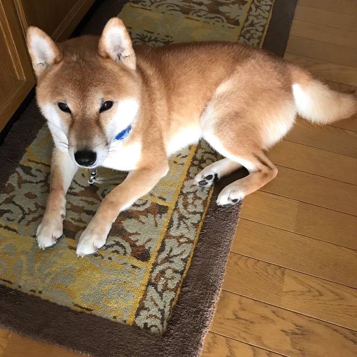 Dbb6a1c7 0bbf 4de3 bb58 9c6a246c7c90 1584515220084