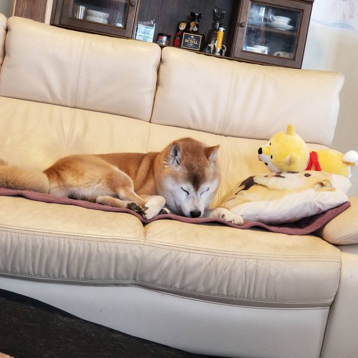 Dbb70319 991a 4d43 be11 bfed874d3571 1741058494067