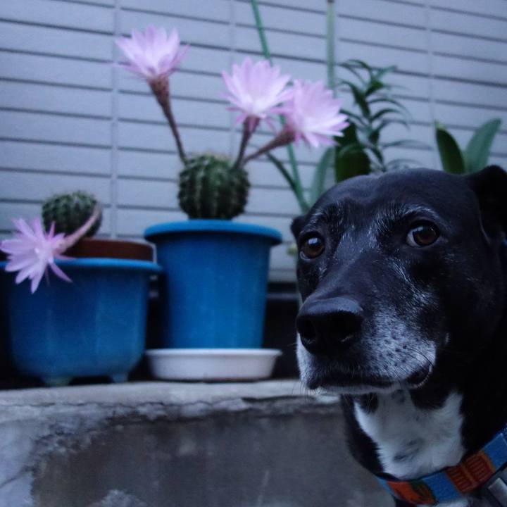 Dbb7306c 77c5 4003 addf 6f14ac877057 1748516870577