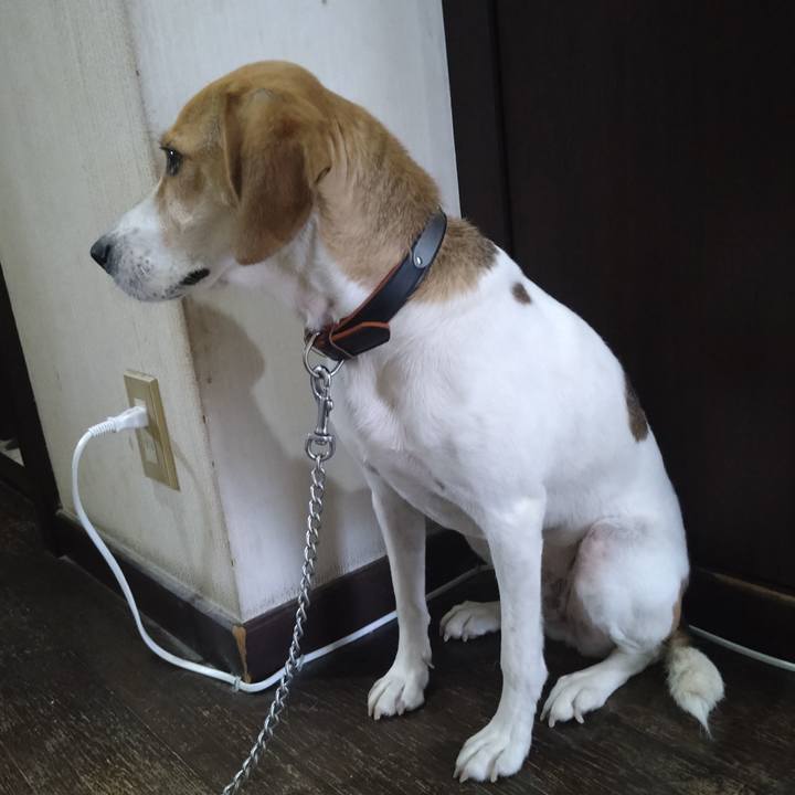 Dbb735dd 0e57 4018 96ab 8053211d38ca 1626770454087