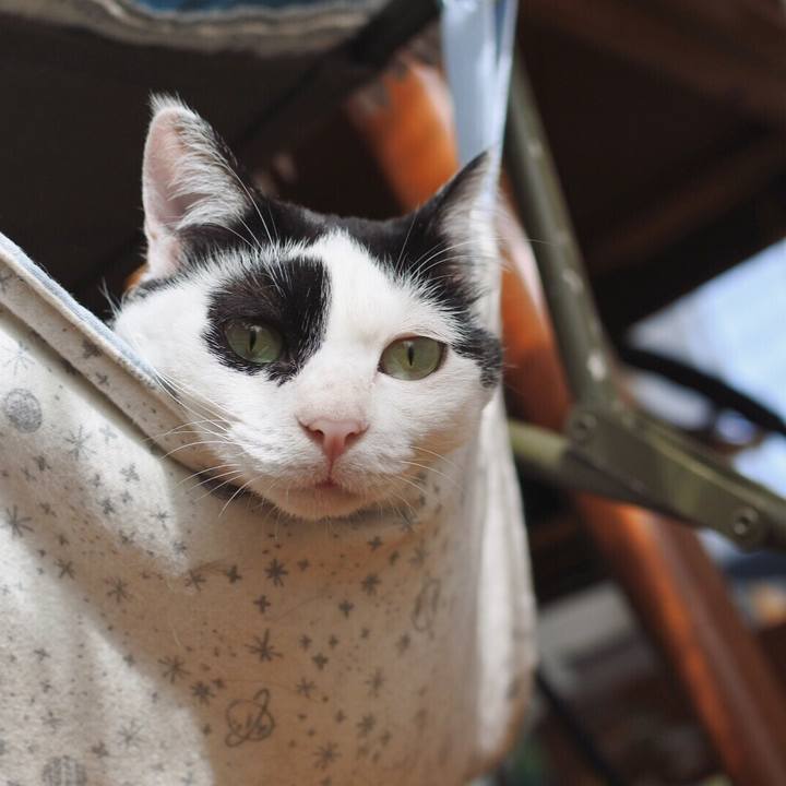 Dbb784fe f19a 45ad 8e4b 11238d2b7b0d 1558347131705