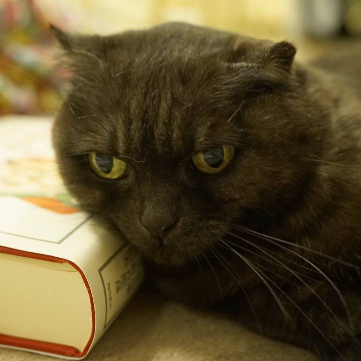 Dbb79076 30a5 4d70 88de 5a90f9d70ed4 1613401821998