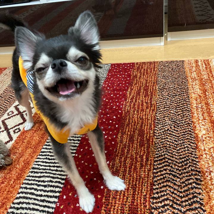 Dbb7a02c 3aa4 465a b625 78f44c477338 1670687941614