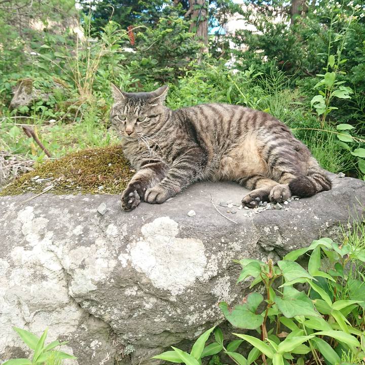 Dbb7a560 3c8e 4edb acec d6a423748f88 1657356244785