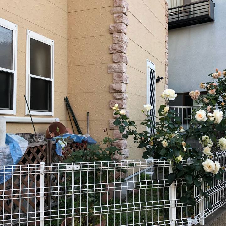 Dbb7bda0 f19c 43b6 a2ed 89f2a4e5726c 1525548358440