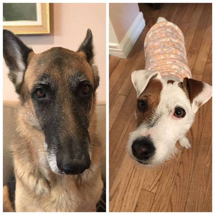 Dbb80581 5777 441b a0c6 31e0c346553e 1514683696072