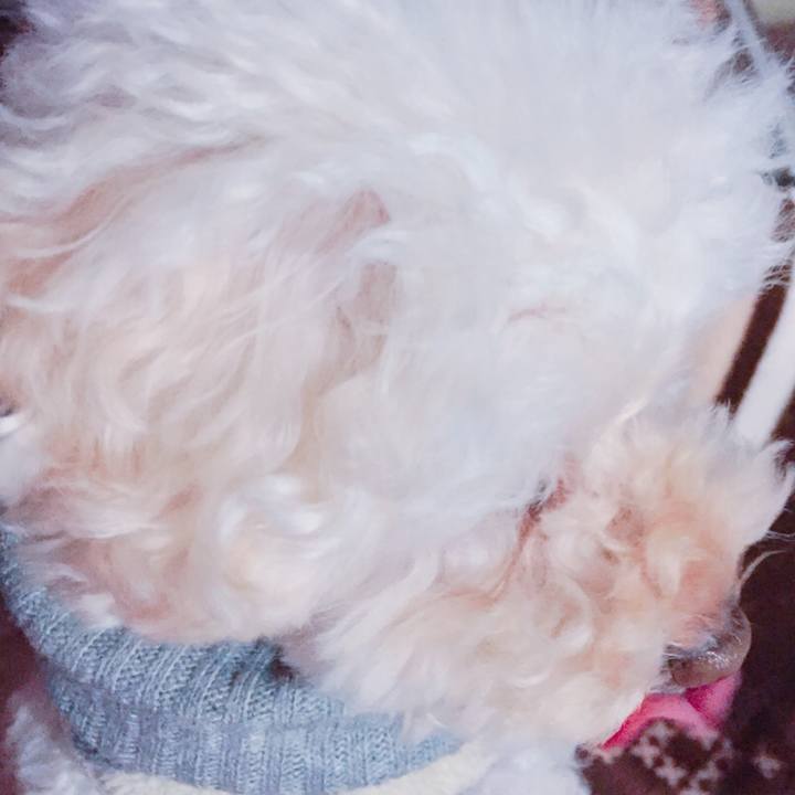 Dbb82ed6 13b6 41fd 96ea 35edcbb1372a 1518323984349