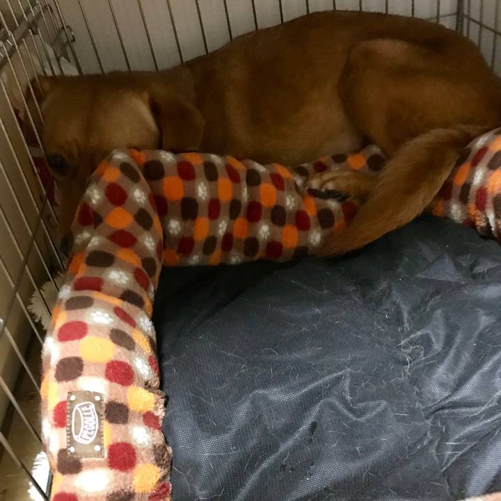 Dbb838b0 4980 439d 8410 abd699463702 1538308108663