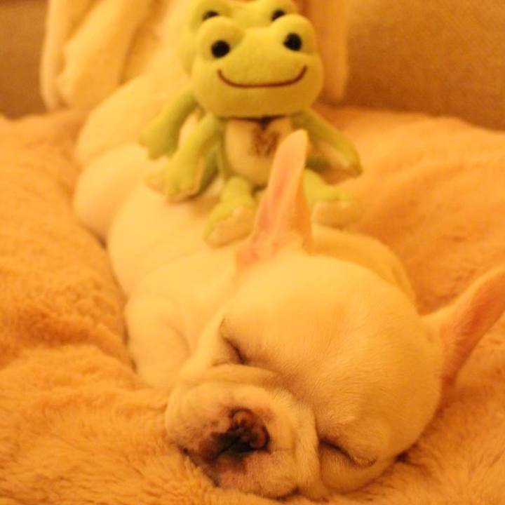 Dbb85b72 f8d3 4052 9b20 5d14815f68e2 1649583905370