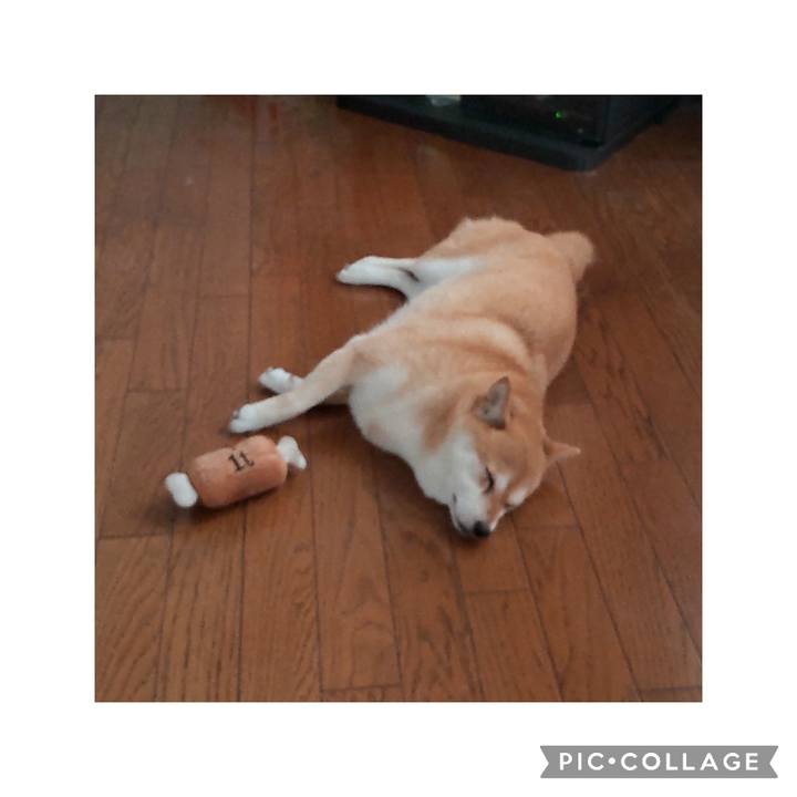 Dbb8731c af9c 43e8 91e9 7809e9ddf31f 1754809746808