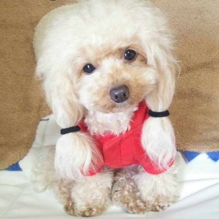 Dbb87b90 171a 4a5f b610 27443e0dfece 1543043973552