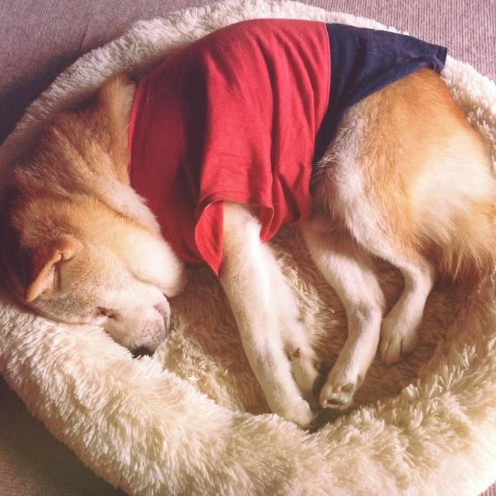 Dbb8993c 8338 45d3 95a7 952a97a38b86 1590295396202