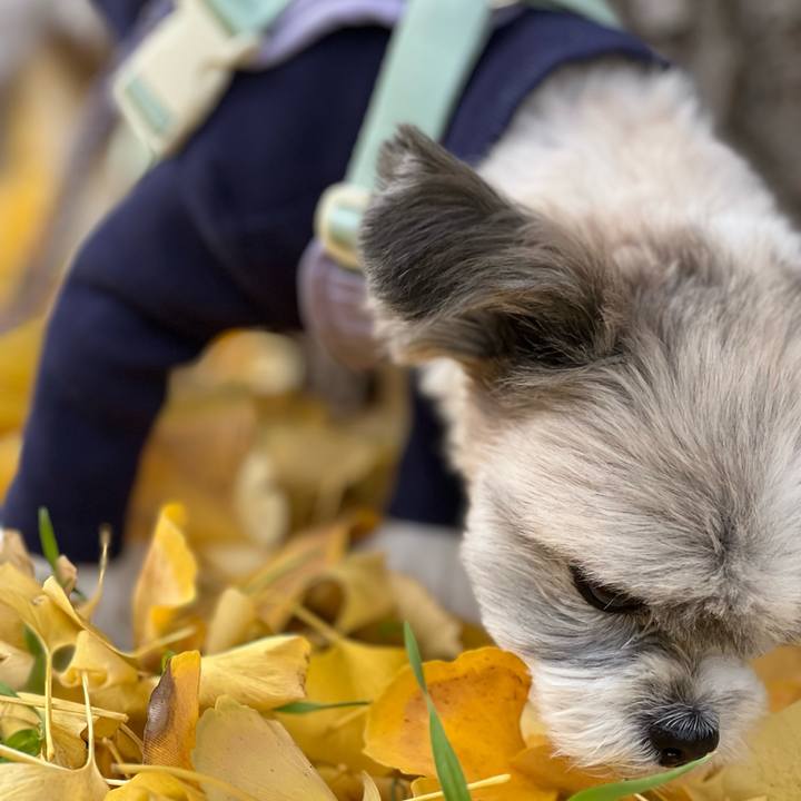 Dbb89b42 9774 49b0 9c63 b4e34a842a10 1733889744709