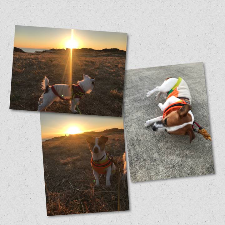 Dbb8c21f 3a0c 4d0f 94c1 8b73041b2e38 1513584884032