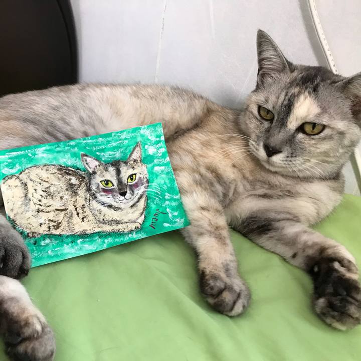 Dbb8d79e 777d 4049 bcf0 10de44700d58 1630125999339