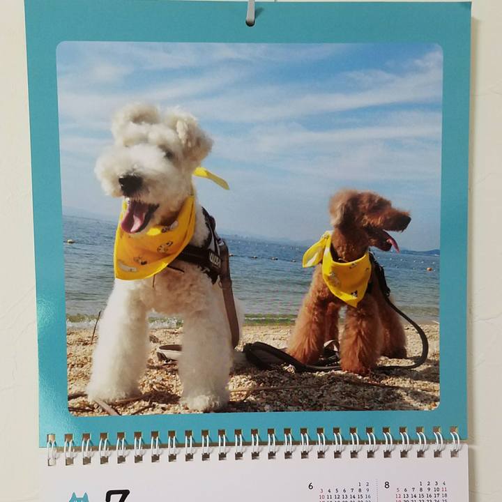 Dbb91ffc 6afa 4f07 bbc6 b68f14a14be4 1530723234120