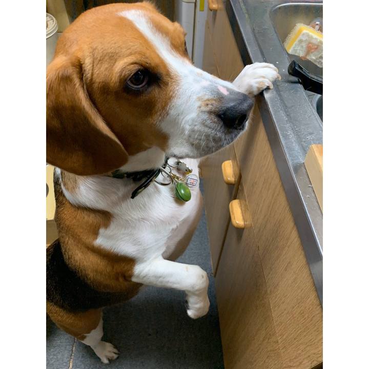 Dbb92611 aed7 4fcb 8d8d 62336ed9d719 1579433246243