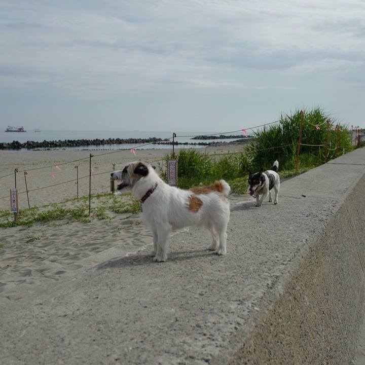 Dbb940ad edab 4f7a 8689 7574a369dbea 1531716174203