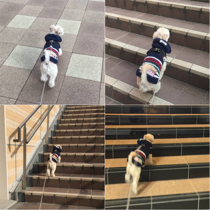 Dbb95028 e483 404d 96c8 80c5e9a24ca8 1543042273642