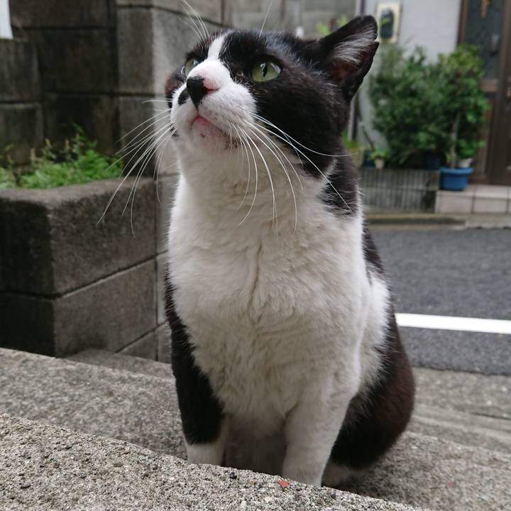 Dbb959e8 e33b 4762 af3a 09511217fe89 1561253211609