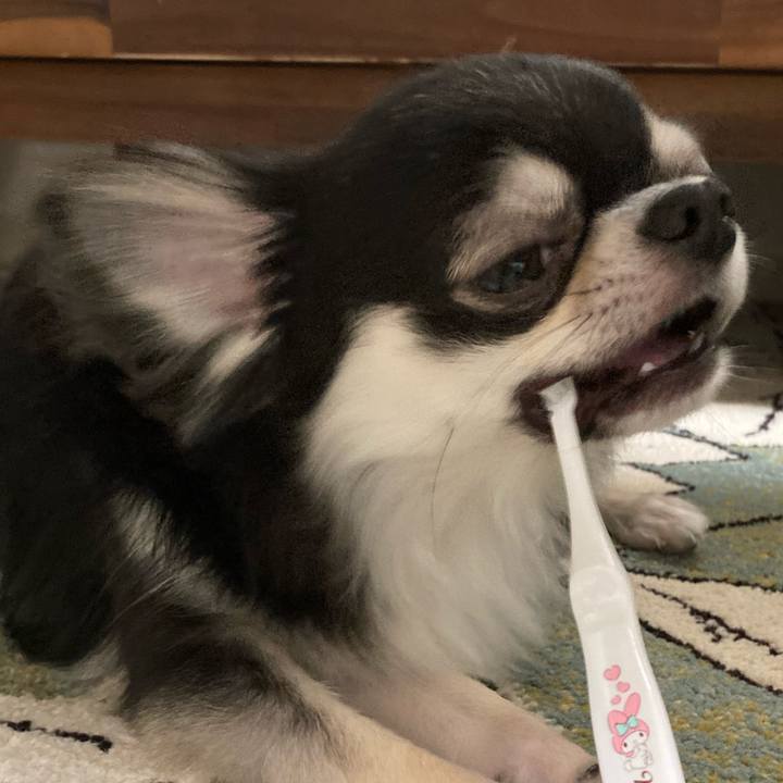 Dbb962a3 3ac8 497a 9817 5043183df169 1624192679748