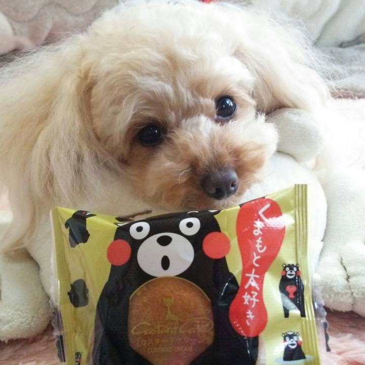 Dbb97057 6e8b 431c 966a e397cd6b2a87 1523608579288