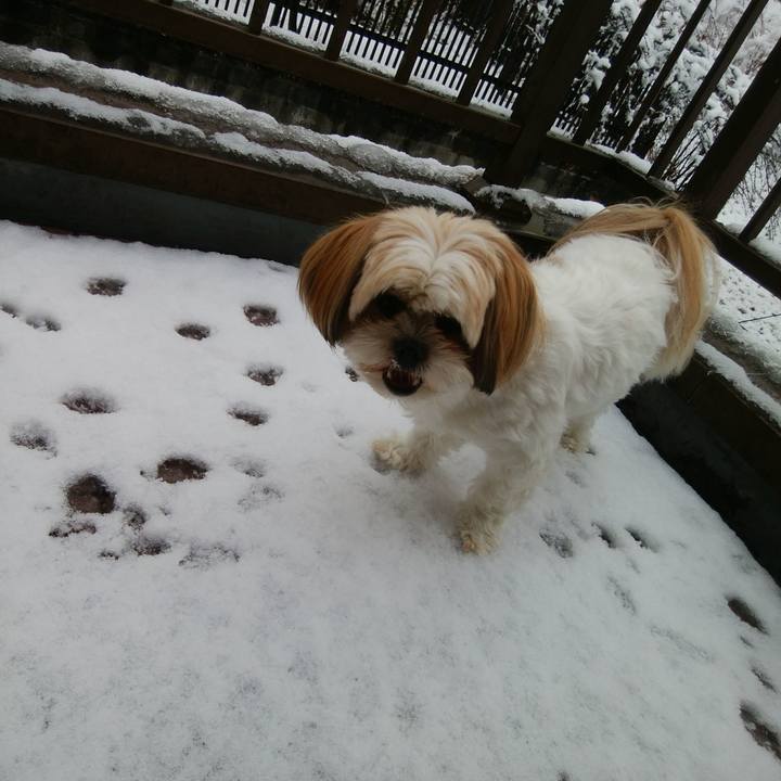 Dbb98c09 b34e 4f2c b775 4bd188a20c7f 1517525819021