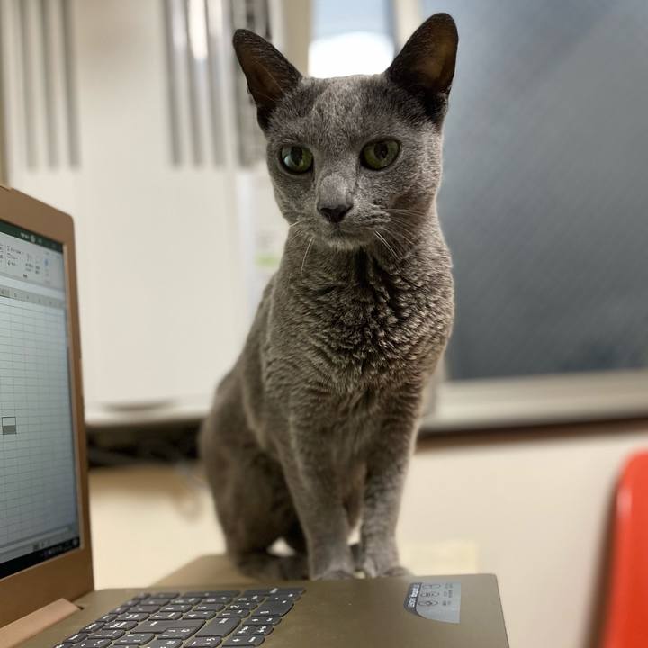 Dbb9bb8a 1958 491d a215 2616b869bbdb 1606894584331