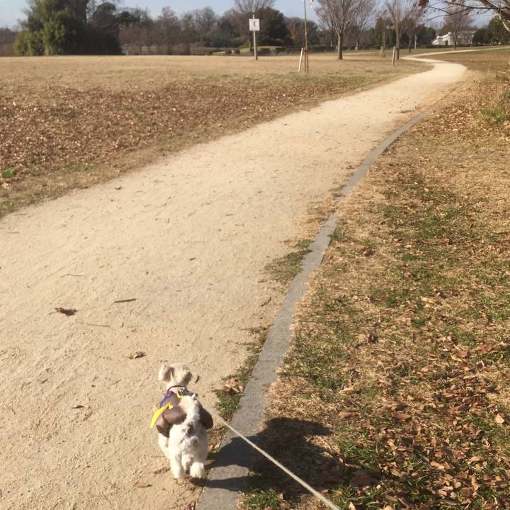 Dbb9ed3b 478e 4c6d a8d0 2148811cdd90 1513577275796