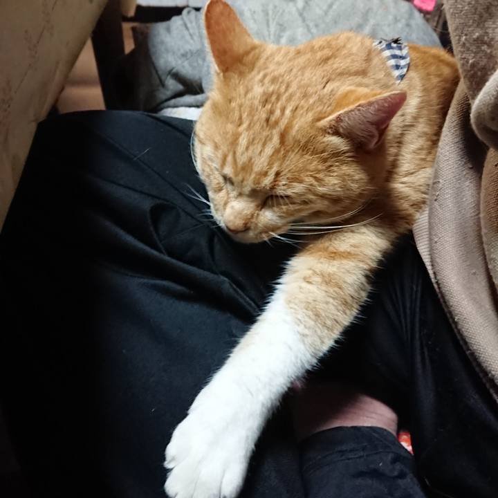 Dbba18b2 9ee9 4204 a188 c0304e4aa59e 1573902896465