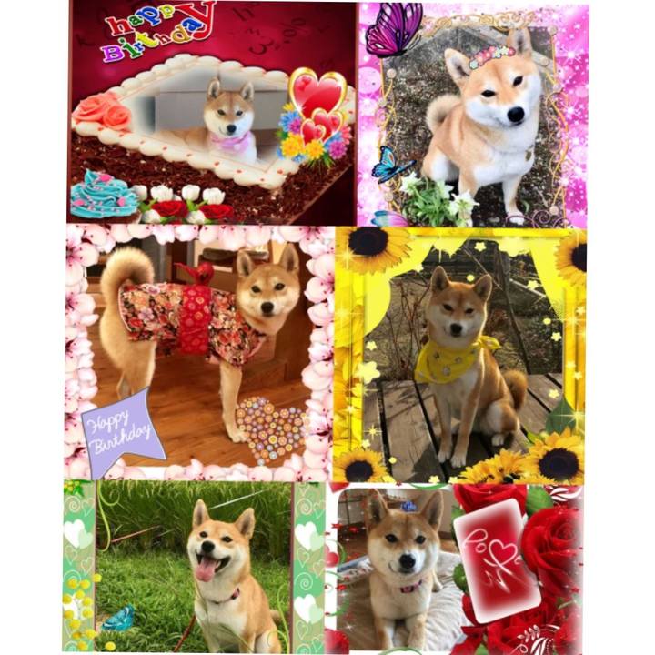 Dbba61fe 429f 4ac4 ab64 164b6cb4a141 1553544876888