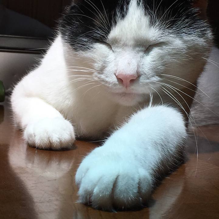 Dbba69aa 4608 4e51 b6b3 f0c4faebfe38 1531741407559