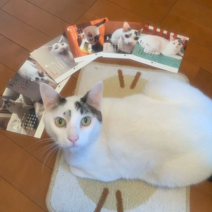 Dbba8edc e8cd 407c b7f0 27ef8c68afe9 1702888666074