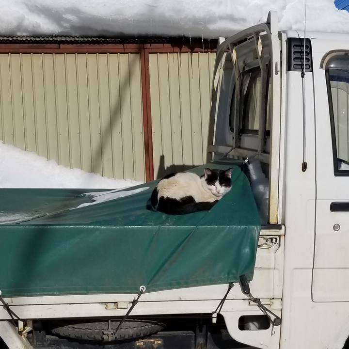 Dbba9743 7cbb 47ed 938d 44963602adc8 1643766025441