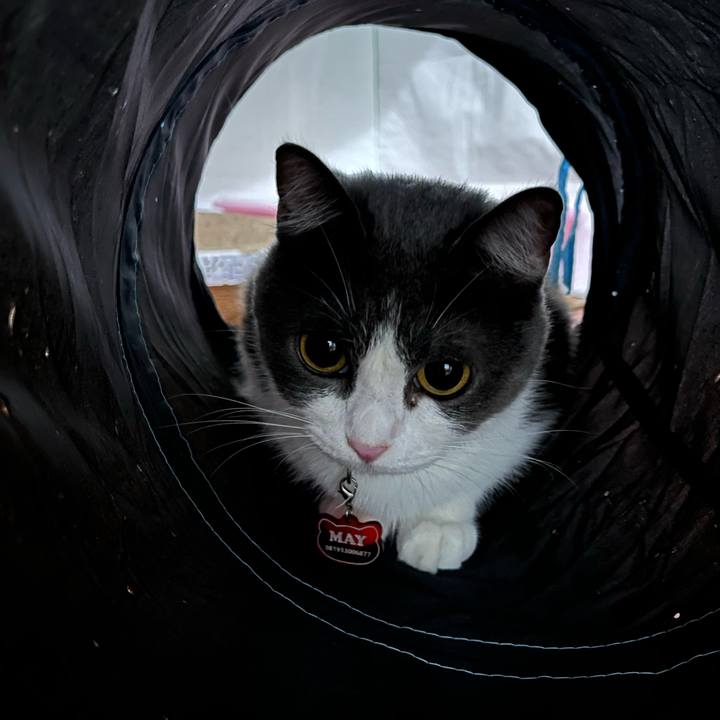 Dbbaa34f 6457 4486 b3a7 c0be31959ae3 1763293568449