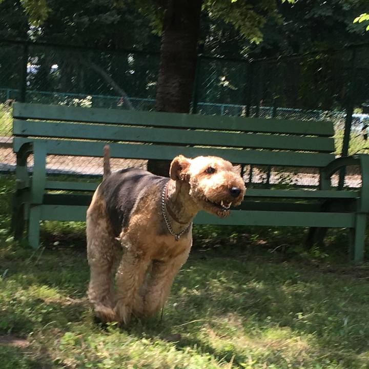 Dbbaab57 1c51 4174 b298 b94b0ae08847 1560397005454