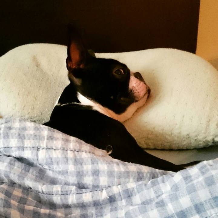 Dbbb0c0a 6e4c 460c afd6 3af69b7fad3d 1529925669283